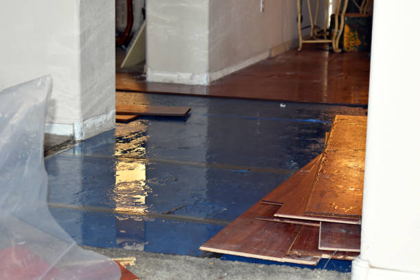 Professional Water Damage Restoration technician working in Huntsville, AR